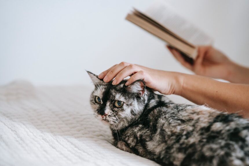 les 3 meilleurs livres d'Anny Duperey