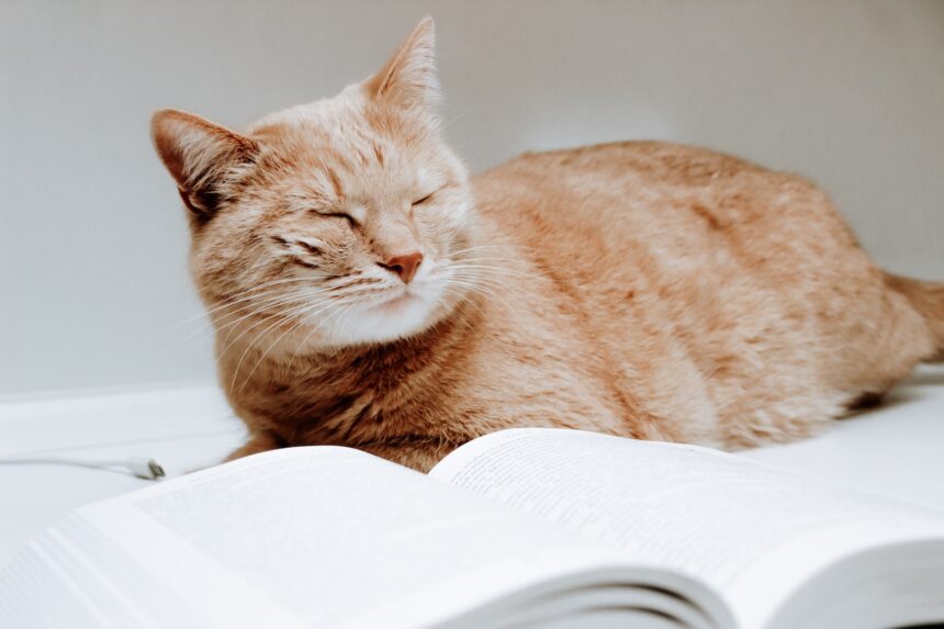 les 2 meilleurs livres de Charles Ferdinand Ramuz 