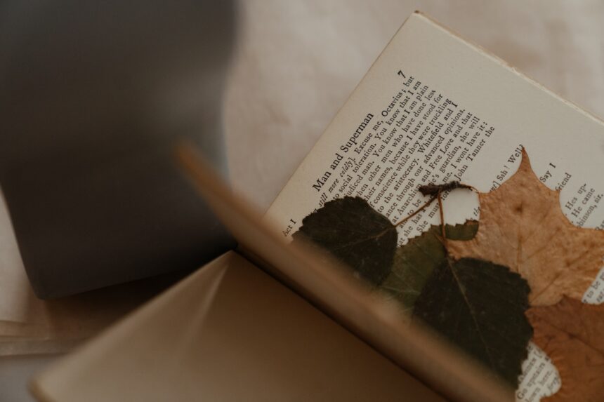 les 4 meilleurs livres de mireille calmel