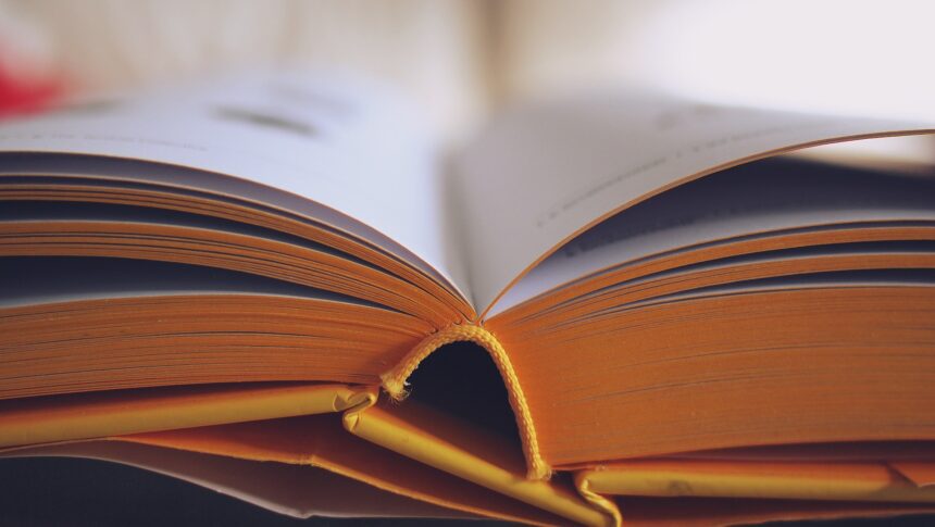 les 3 meilleurs livres de Robin Hobb