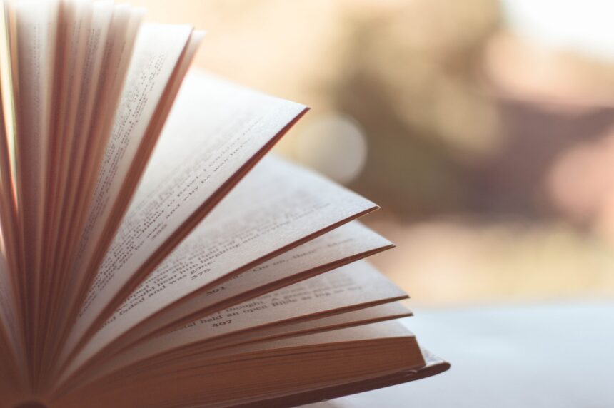 Meilleur livre Valérie Perrin