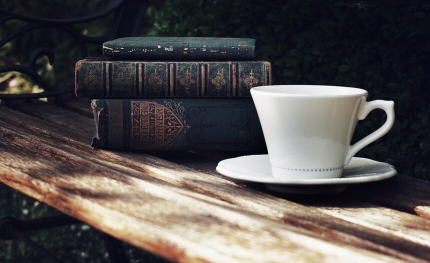 les 2 meilleurs livres de Virgile