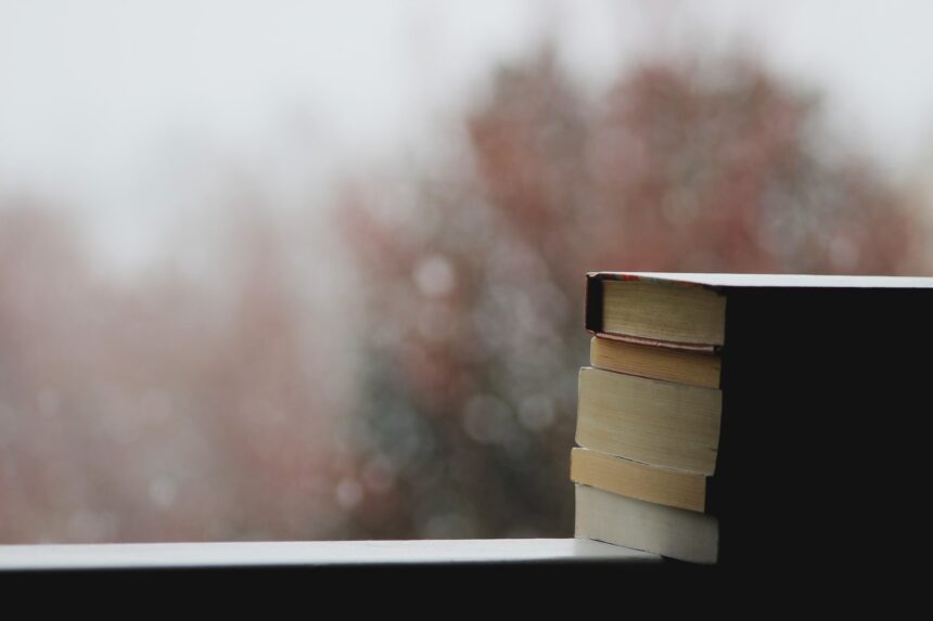 les 3 meilleurs livres sur balistique