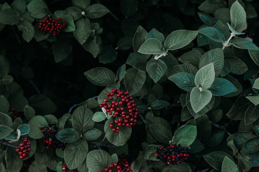 les 3 meilleurs livres sur biodiversité