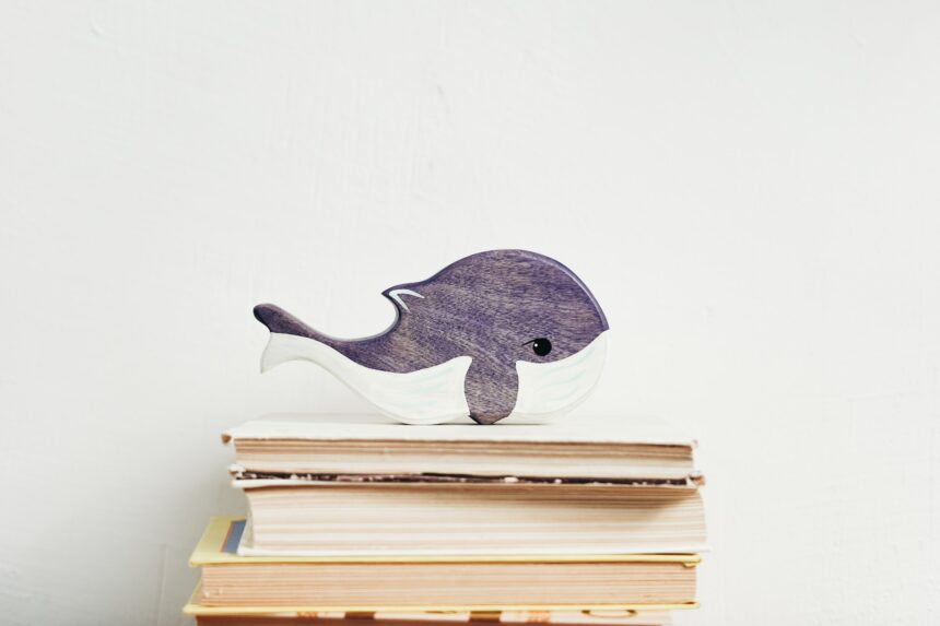 les 5 meilleurs livres sur ce1