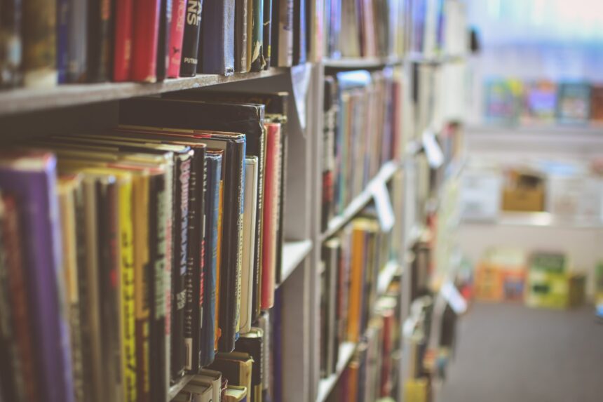 les 4 meilleurs livres sur CIA