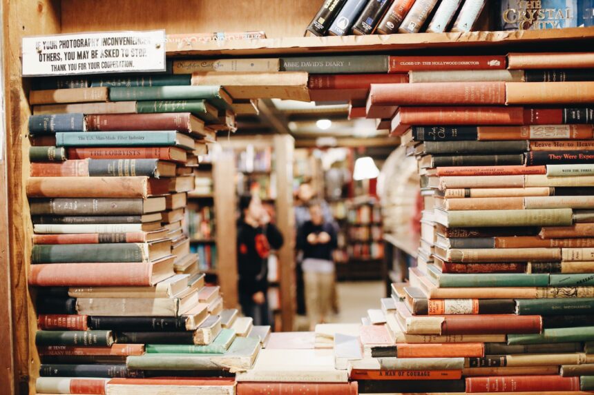 les 3 meilleurs livres sur condition des noirs