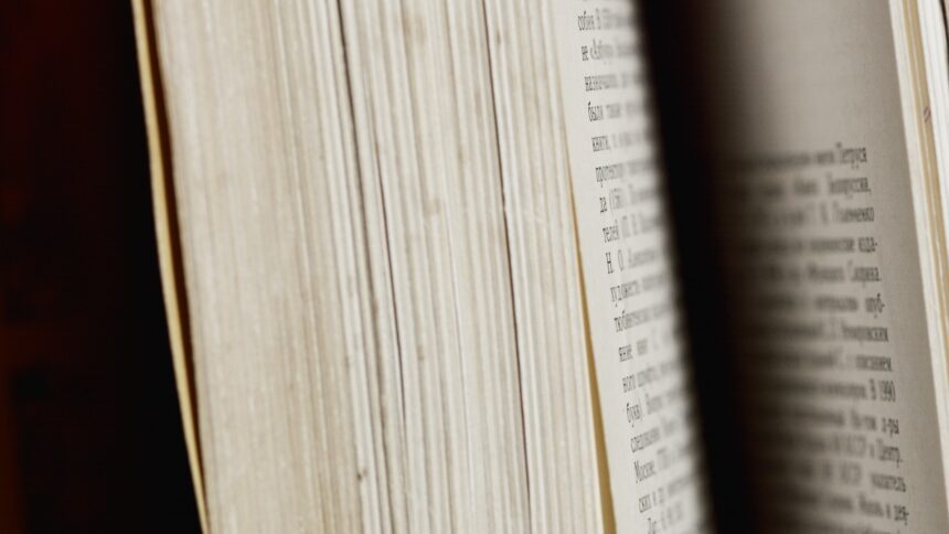 les 3 meilleurs livres sur conjugaison français