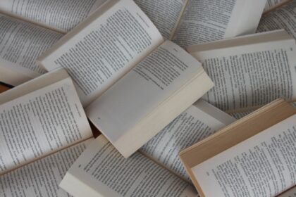 les 3 meilleurs livres sur constitution