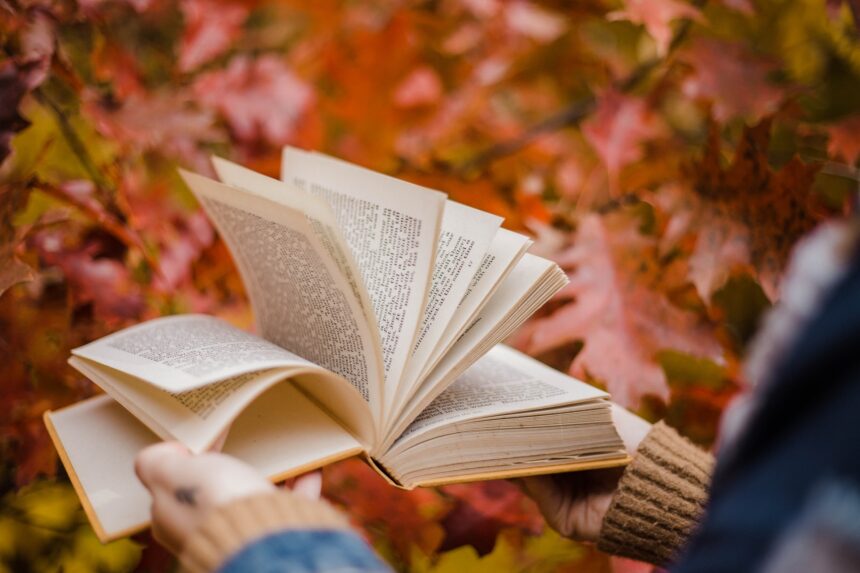 les 5 meilleurs livres sur construction