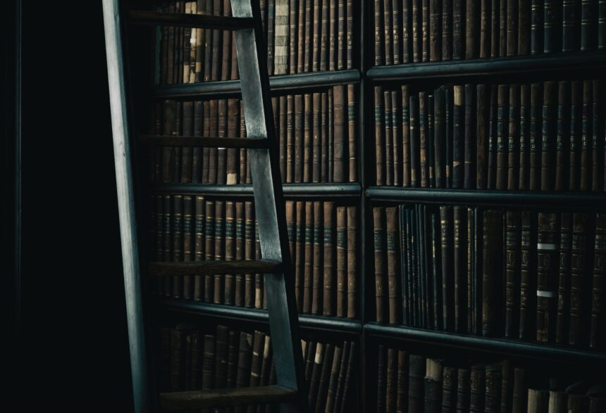 les 5 meilleurs livres sur construction bois