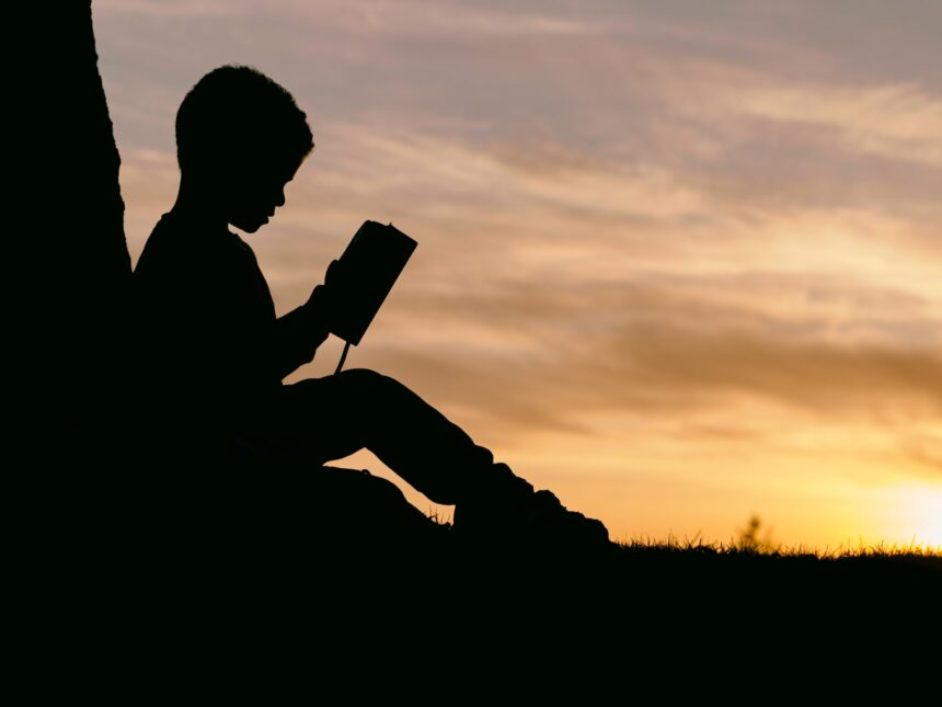 les 3 meilleurs livres sur Ellis Island