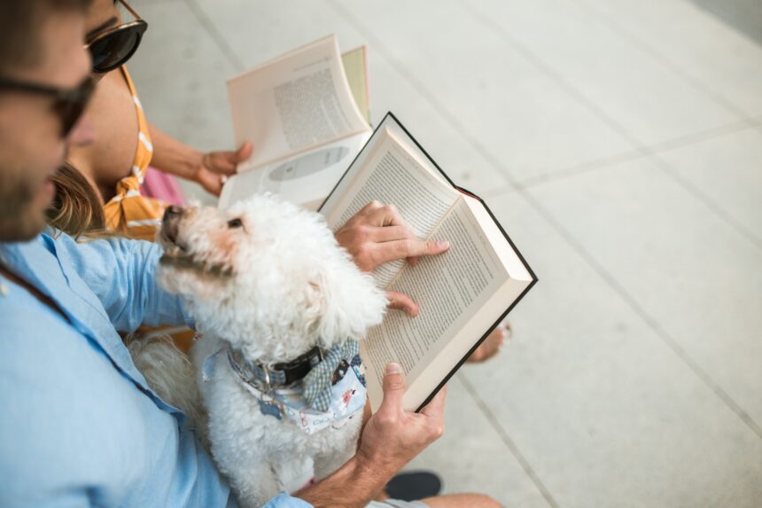 les 3 meilleurs livres sur enquêtes criminelles