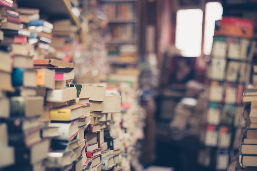 les 3 meilleurs livres de Françoise Giroud