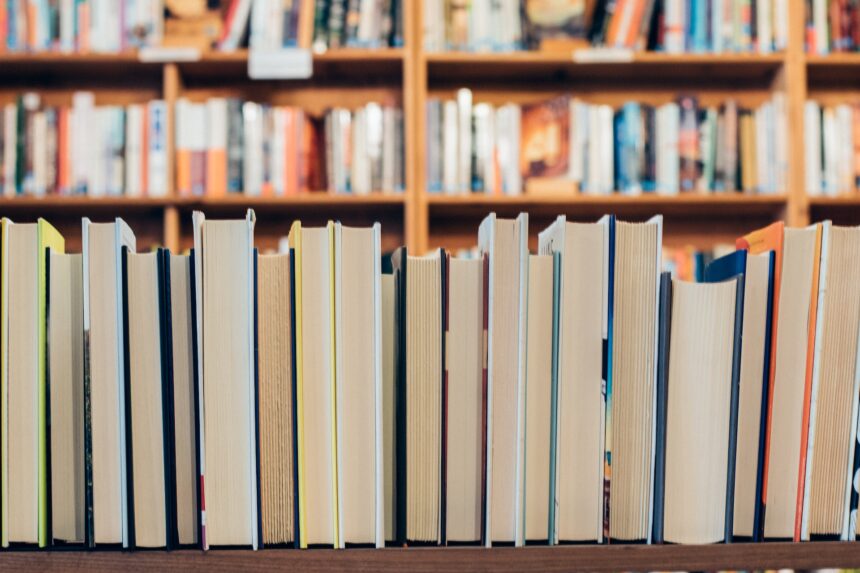 les 2 meilleurs livres sur gestion publique