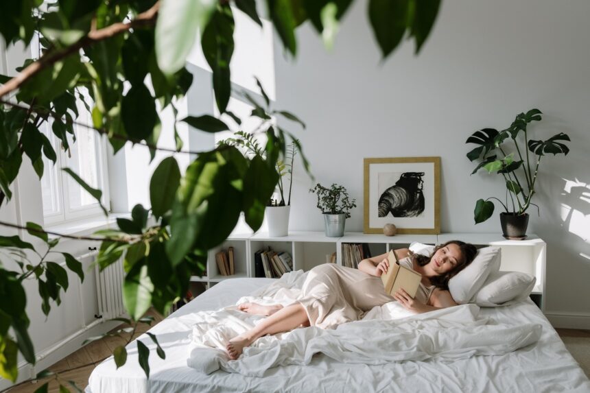 les 6 meilleurs livres sur grossesse