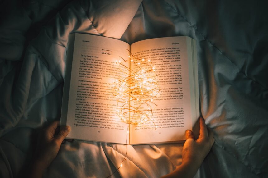 les 5 meilleurs livres sur Israel