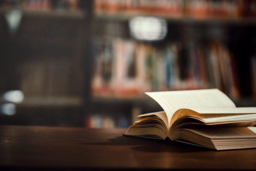 les 6 meilleurs livres sur Kaboul