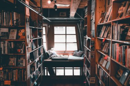 les 4 meilleurs livres sur sciences politiques