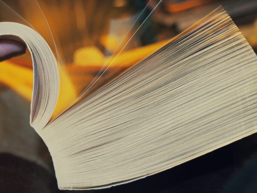 les 5 meilleurs livres sur survie