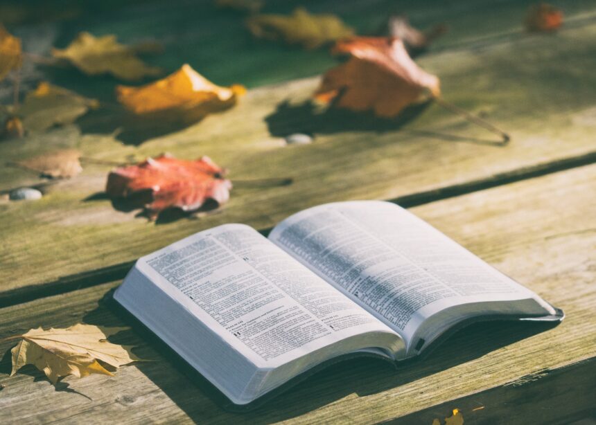 les 6 meilleurs livres sur theatre