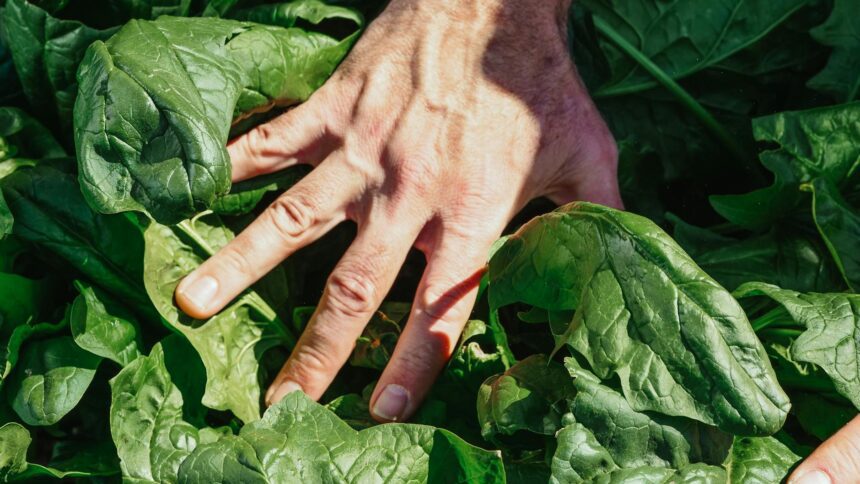 les 3 meilleurs livres sur l'alimentation durable