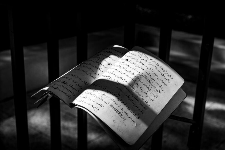 les 3 meilleurs livres sur les langues en voie de disparition