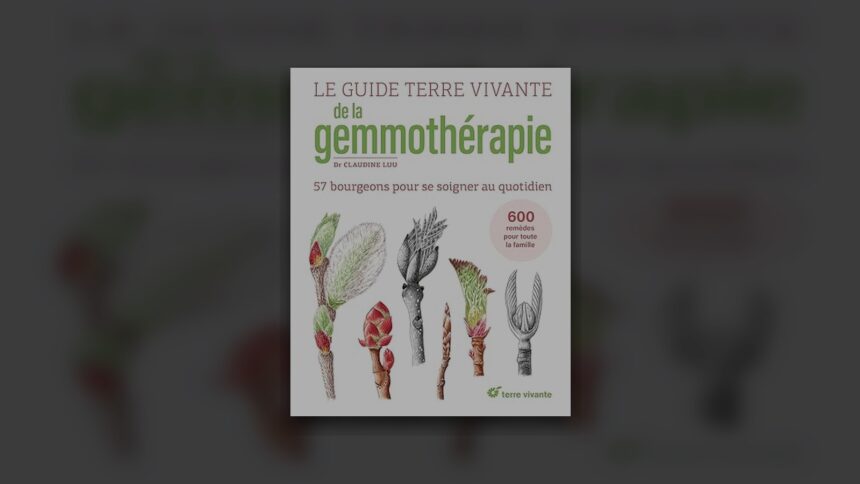 Meilleur livre gemmothérapie