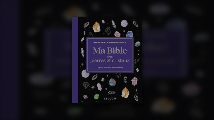 Meilleur livre pierres